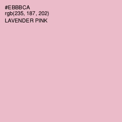 #EBBBCA - Lavender Pink Color Image